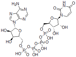 CAS 登录号：10527-48-7， 腺苷(5')四磷酸酯尿苷