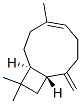 CAS 登录号：10579-93-8， [1S-(1R*,4E,9S*)]-4,11,11-三甲基-8-亚甲基双环[7.2.0]十一碳-4-烯