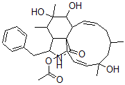 CAS 登录号：108050-27-7， (6S,7S,13E,16S,18R,19E,21R)-21-(乙酰氧基)-6,7,18-三羟基-16,18-二甲基-10-苯基-(11)松胞素-13,19-二烯-1-酮
