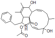 CAS 登录号：108050-28-8， (7S,13E,16S,18R,19E,21R)-21-(乙酰氧基)-7,18-二羟基-16,18-二甲基-10-苯基-(11)松胞素-5,13,19-三烯-1-酮