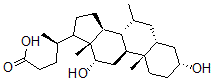 CAS 登录号：109582-23-2， (4R)-4-[(3R,5R,8R,9S,10S,12S,13R,14S)-3,12-二羟基-7,10,13-三甲基-2,3,4,5,6,7,8,9,11,12,14,15,16,17-十四氢-1H-环戊二烯并[a]菲-17-基]戊酸