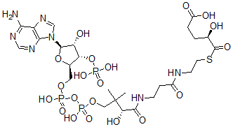 CAS#: 111769-66-5， 2-Hydroxyglutaryl-1-Coenzyme A