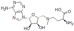 CAS#: 111770-79-7， N(4)-Adenosyl-N(4)-Methyl-2,4-Diaminobutanoic Acid