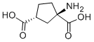 CAS#: 111900-33-5， (1R,3R)-1-Amino-1,3-Cyclopentanedicarboxylic Acid