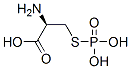 CAS#: 115562-30-6， S-Phosphocysteine