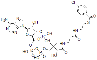 CAS 登录号：117380-98-0， 4-氯苯甲酰基辅酶A