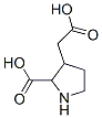 CAS#: 117856-26-5， 2-Carboxy-3-Pyrrolidineacetic Acid