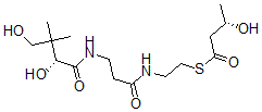 CAS 登录号：120497-19-0， 3-羟基丁酰基泛酰巯基乙胺