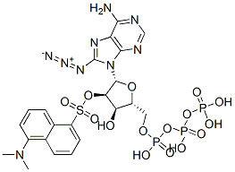 CAS#: 121258-46-6， 8-Azido-2'-O-Dansyladenosine Triphosphate