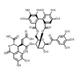 CAS#: 125516-10-1， Repandusinic acid A