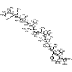 CAS#: 127476-26-0， Glycyl-L-alpha-Glutamyl-4-Carboxy-L-alpha-Glutamyl-4-Carboxy-L-alpha-Glutamyl-L-Tyrosyl-L-Glutaminyl-L-Lysyl-L-Methionyl-L-Leucyl-4-Carboxy-L-alpha-Glutamyl-L-Asparaginyl-L-Leucyl-L-Arginyl-4-Carboxy- L-alpha-Glutamyl-L-Alanyl-L-alpha-Glutamyl-L-Valyl-L-Lysyl-L-Lysyl-L-Asparaginyl-L-Alaninamide