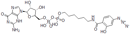 CAS 登录号：129992-33-2， [(2R,3S,4R,5R)-5-(2-氨基-6-氧代-3H-嘌呤-9-基)-3,4-二羟基四氢呋喃-2-基]甲基[6-[(4-叠氮基-2-羟基苯甲酰基)氨基]己氧基-羟基磷酰]磷酸氢酯
