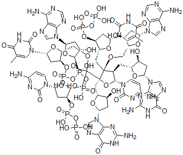 CAS#: 133983-37-6， 2'-Deoxycytidylyl-(5'-3')-Thymidylyl-(5'-3')-2'-Deoxyadenylyl-(5'-3')-2'-Deoxycytidylyl-(5'-3')-2'-Deoxyguanylyl-(5'-3')-Thymidylyl-(5'-3')-2'-Deoxyadenylyl-(5'-3')-2'-Deoxy-Guanosine