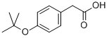 CAS 登录号：135066-21-6， 4-(1,1-二甲基乙氧基)-苯乙酸
