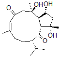 CAS#: 142750-40-1， (1R,2R,5Z,9S,11R,12S,14R)-2,12,14-Trihydroxy-2,6,12-Trimethyl-9-Propan-2-Ylbicyclo[9.3.0]Tetradec-5-Ene-4,10-Dione