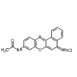 CAS 登录号：15391-59-0， N-(5-亚氨基苯并[J]吩恶嗪-9-基)乙酰胺盐酸盐