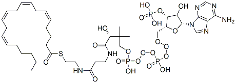 CAS 登录号：17046-56-9， S-[2-[3-[[(2R)-4-[[[(2R,3R,5R)-5-(6-氨基嘌呤-9-基)-4-羟基-3-膦酰氧基四氢呋喃-2-基]甲氧基-羟基磷酰]氧基-羟基磷酰]氧基-2-羟基-3,3-二甲基丁酰基]氨基]丙酰氨基]乙基](5Z,8Z,11Z,14Z)-二十-5,8,11,14-四烯硫代酸