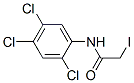 CAS 登录号：19889-60-2， 2-碘-N-(2,4,5-三氯苯基)乙酰胺