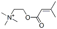 CAS 登录号：20284-79-1， 千里酰胆碱