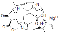 CAS 登录号：20369-67-9， 原叶绿素酯