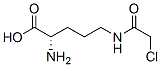 CAS 登录号：20584-81-0， N-delta-氯乙酰基-L-鸟氨酸