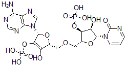 CAS 登录号:20787-33-1, 环(腺苷酰(3'-5')尿苷单磷酸酯)