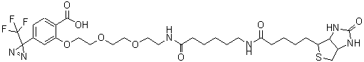 CAS 登录号：207971-23-1， 2-{[10,17-二氧代-21-(2-氧代六氢-1H-噻吩并[3,4-d]咪唑-4-基)-3,6-二氧杂-9,16-二氮杂二十一碳-1-基]氧基}-4-[3-(三氟甲基)-3H-二氮杂环丙烯-3-基]苯甲酸