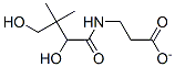 CAS 登录号：20938-62-9， 泛酸根