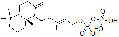 CAS 登录号：21738-30-7， 焦磷酸古巴酯