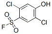 CAS 登录号：22243-90-9， 2,5-二氯-4-羟基苯磺酰氟