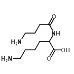 CAS 登录号：22468-02-6， N<sup>2</sup>-(4-氨基丁烷酰基)赖氨酸