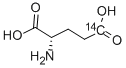 CAS 登录号：24016-48-6， L-谷氨酸 [5-14C]