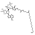 CAS#: 24870-39-1， 5'-O-[Hydroxy[[Hydroxy[[(3R)-3-Hydroxy-2,2-Dimethyl-4-Oxo-4-[[3-Oxo-3-[[2-[(1-Oxopentadecyl)Thio]Ethyl]Amino]Propyl]Amino]Butyl]Oxy]Phosphinyl]Oxy]Phosphinyl]-Adenosine 3'-(Dihydrogen Phosphate) I On(2-)