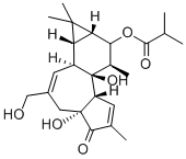 CAS 登录号：25090-74-8， 12-脱氧佛波醇 13-异丁酸酯