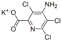 CAS 登录号：2545-60-0， 4-氨基-3,5,6-三氯吡啶-2-羧酸钾