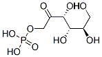 CAS 登录号：2650-47-7， [(3R,4S,5R)-3,4,5,6-四羟基-2-氧代己基]磷酸二氢酯