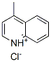 CAS#: 3007-43-0， 4-Methylquinolin-1-Ium Chloride