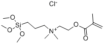 CAS#: 31681-13-7， 2-Methacryloxyethyldimethyl(3-Trimethoxysilylpropyl)Ammonium Chloride