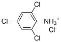 CAS 登录号：33663-50-2， 2,4,6-三氯苯胺盐酸盐
