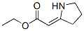 CAS 登录号：35150-22-2， (Z)-2-(吡咯烷-2-亚基)乙酸乙酯