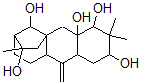 CAS 登录号：38302-26-0， (2S-(2alpha,4alpha,4abeta,5abeta,7beta,8beta,10aalpha,11alpha-alpha,12S*))-十二氢-3,3,7-三甲基-11-亚甲基-5a,8-甲桥-5ah-环庚并(b)萘-2,4,4a,7,12(5H)-五醇