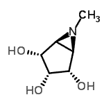 CAS 登录号：385443-39-0， (1R,2S,3S,4R,5S)-6-甲基-6-氮杂双环[3.1.0]己烷-2,3,4-三醇