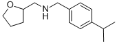 结构式 CAS# 436096-82-1, (4-异丙基-苄基)(四氢呋喃-2-基-甲基)胺