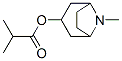 CAS#: 495-80-7， Tropine Isobutyrate