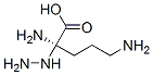 CAS 登录号：50865-98-0， alpha-肼基鸟氨酸