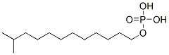 CAS 登录号：50977-11-2， 异十三烷基磷酸二氢酯