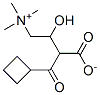 CAS 登录号：51220-40-7， 环丁烷甲酰肉碱