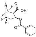 结构式 CAS# 519-09-5, 苯甲酰基芽子碱
