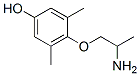 CAS 登录号：53566-99-7， 4-(2-氨基丙氧基)-3,5-二甲基苯酚