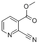 CAS 登录号：53940-11-7， 3-氰基吡啶-2-羧酸甲酯